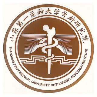 山东第一医科大学骨科研究院